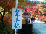 大芦渓谷の紅葉02