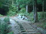 屋久島荒川林道トロッコ道08