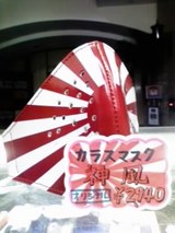 6d89730e.jpg