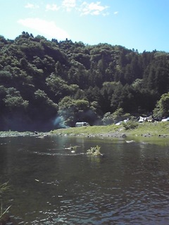 niitocamp