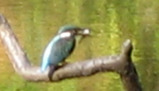 1ee47441.JPG