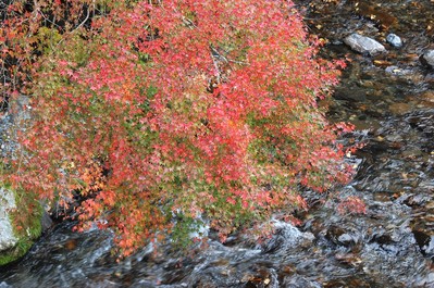 DSC_5875-1