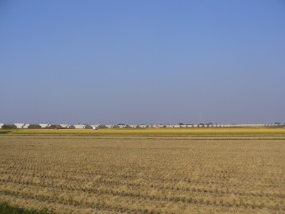 P1030034