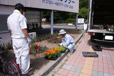 花壇植え込み 1