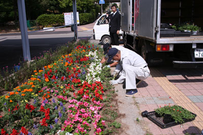 花壇 2