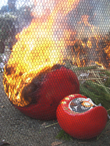 daruma fire