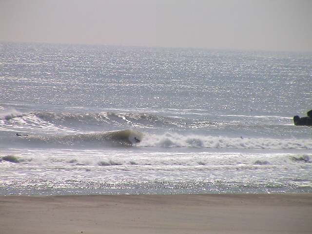 DSC09785