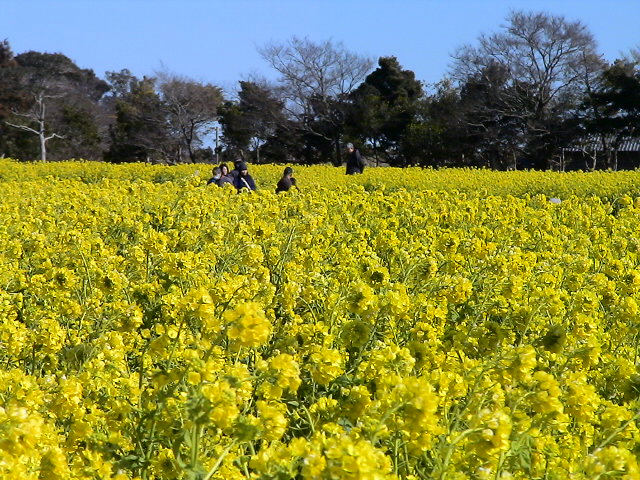 DSC09369