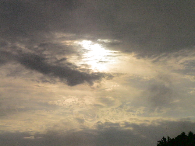 DSC04021