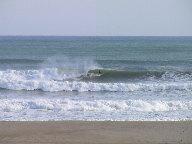 DSC09695