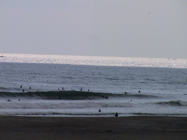 DSC09311