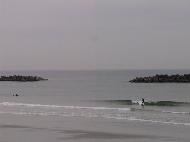 DSC09295