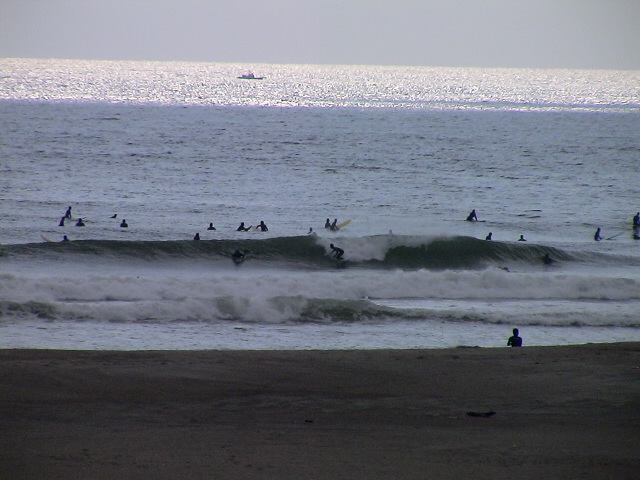 DSC09313