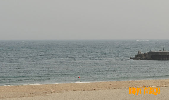 8月19日16時ごろの伊良湖の波