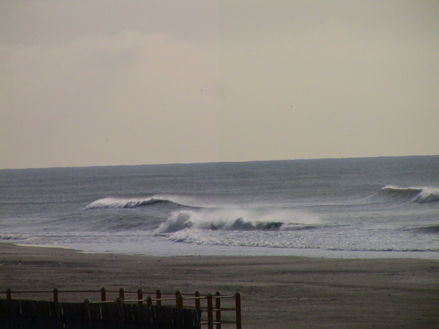 DSC09731