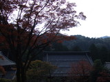 1738a4f4.JPG