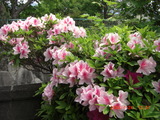 065