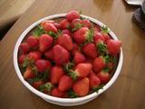 Berry 029