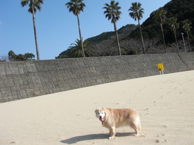 2009_0210_140954-CIMG4484