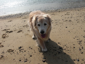 2009_0210_142624-CIMG4499