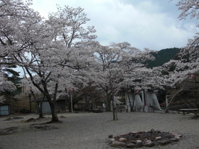 2009_0401_140239-CIMG4633