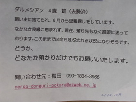 CIMG3728