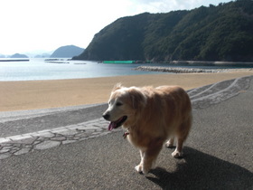 2009_0210_135604-CIMG4473
