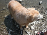 2009_0410_121956-CIMG4703