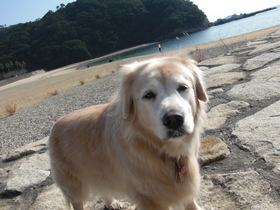2009_0210_140402-CIMG4481