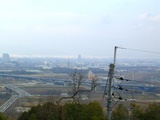 yodo