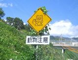 pon
