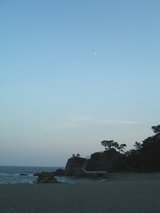 tosa7