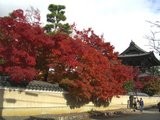 seiryoji6