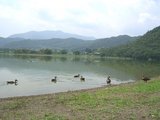 sagano3