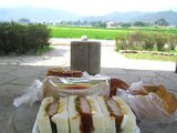 sagano1