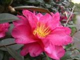 6404dbe8.jpg