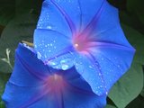 6a7858b4.jpg