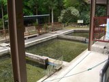 yunoyama2