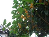 76f39cf2.jpg