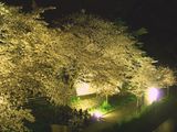 7a6d5a62.jpg