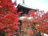 seiryoji3