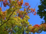 nagaoka4