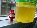 rody1