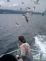 b76781a5.jpg
