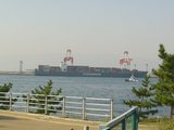 bdf8a6bc.jpg
