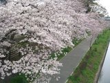 misujinja