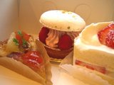 petitjaponais