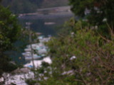 湖をみる