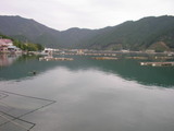 湖
