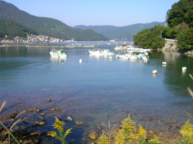 曽根漁協の土地前